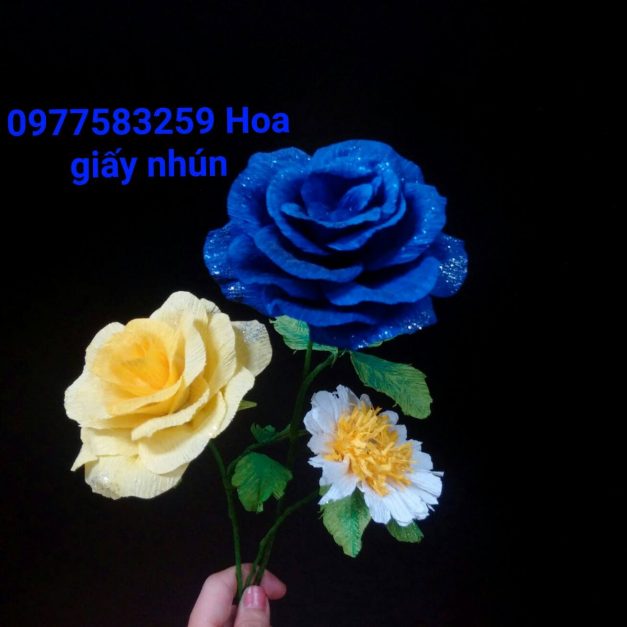 22339575_983780581787210_6986723003648618575_o 22339575_983780581787210_6986723003648618575_o