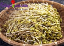 Cách làm giá đỗ tương đơn giản tại nhà