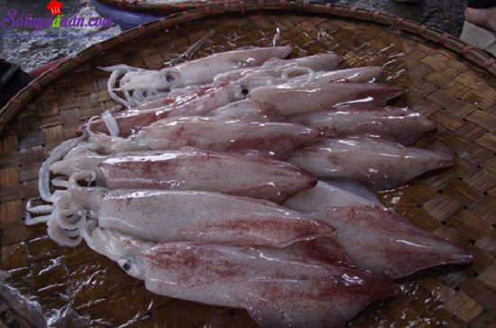 cách làm mực nướng muối ớt 3