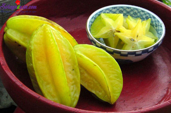 cách trị nhiệt miệng bằng thực phẩm tự nhiên 3
