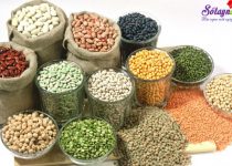 Hướng dẫn chữa rụng tóc bằng chế độ ăn uống hàng ngày
