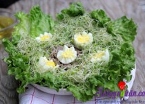 Salad rau mầm tươi