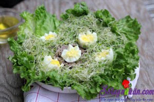 Khai vị tráng miệng, Salad rau mầm tươi