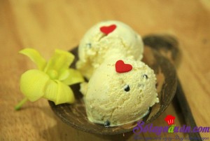 Khai vị tráng miệng, Kem vani chocolate chip