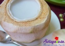Thạch dừa rau câu