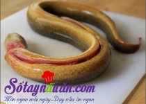 Chọn lươn, sơ chế lươn đúng cách