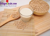 Làm sữa đậu nành ngon đúng cách