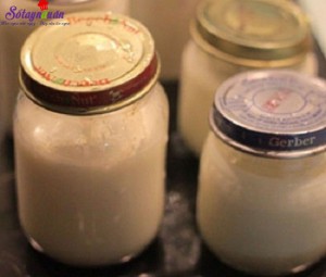 Món ngon cuối tuần, sữa chua nha đam mát lạnh đẹp da