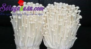Mẹo vặt, Mẹo vặt phân biệt nấm kim châm Hàn Quốc và Trung Quốc a