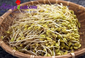 Món ăn Việt Nam, Cách làm giá đỗ tương đơn giản tại nhà