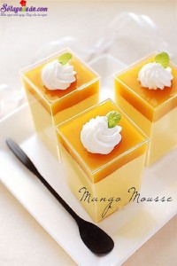 Món ăn miền Trung, Cách làm mousse xoài 6