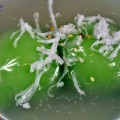 Chè trôi nước lá dứa nhân đậu xanh ấm nóng, cách làm bánh trôi nước lá dứa 3