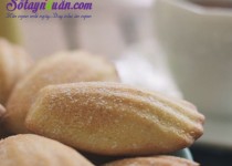 Bánh madeleine – bạn đã thử nhâm nhi cùng trà
