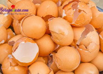 Đừng bỏ vỏ trứng bởi tác dụng thần kỳ của nó