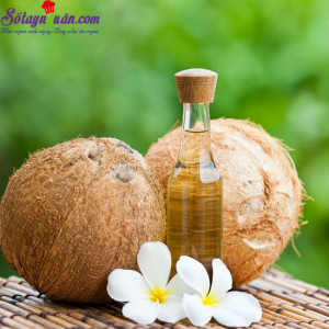 Món ngon dễ làm, cách làm tinh dầu dừa 1
