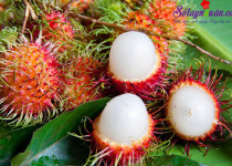 Mẹo chọn chôm chôm ngon