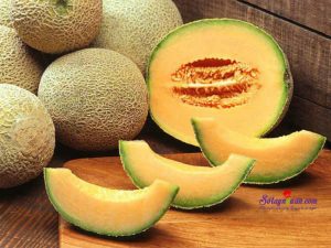 Món ngon dễ làm, lợi ích của dưa lưới 1